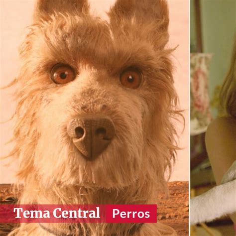 perros xxx|Películas XXX con animales y perros, protagonizadas por las。